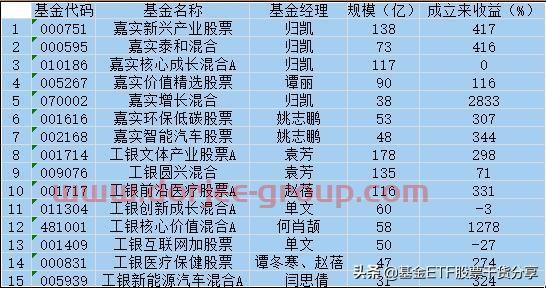 嘉实基金，工银基金 主动管理基金合集 均衡基金 价值基金 成长基金
