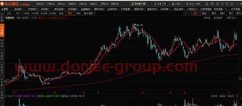 国网信通股吧（新华医疗股吧）