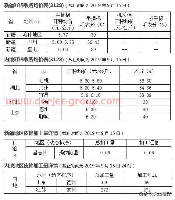 企业谨慎开秤，棉籽价格上涨，籽棉收购渐涨