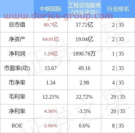 中钢国际