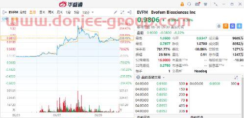 中工国际股票股吧